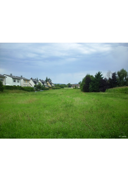 2009 Sausheim5