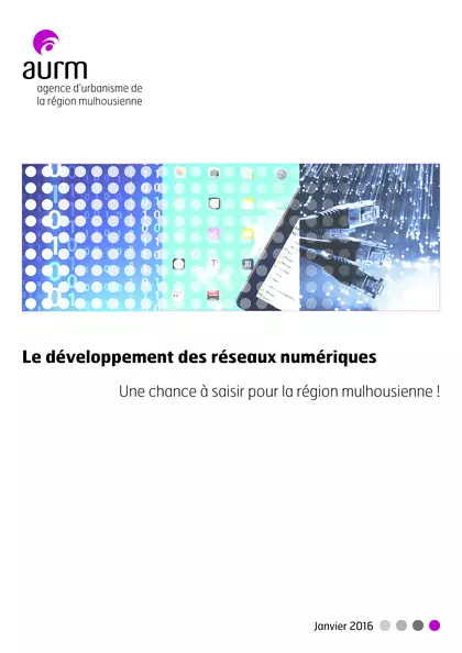 Le développement des réseaux numériques : une chance à saisir pour la région mulhousienne !