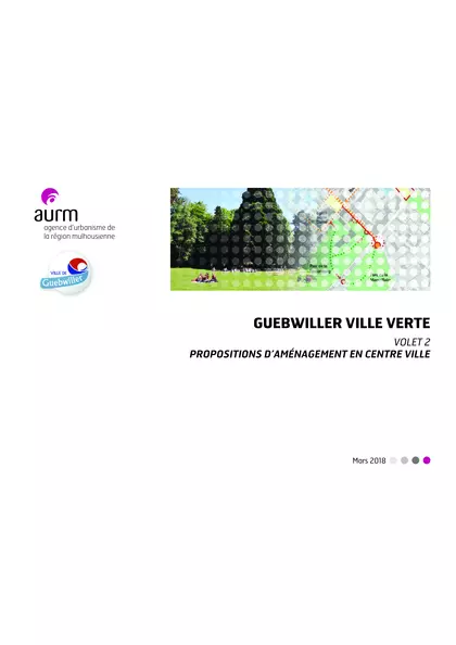 Guebwiller ville verte : volet 2 : propositions d'aménagement en centre ville