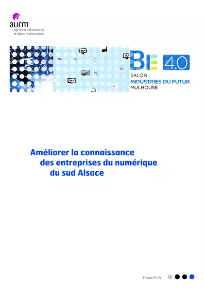 L'offre de solutions technologiques et numériques du sud Alsace : petites entreprises industrielles et de services, ressources pour l'industrie du futur