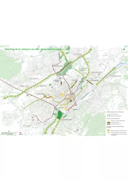 Récits mulhousiens n°2 : insertion de la "nature" en ville : panorama et enjeux