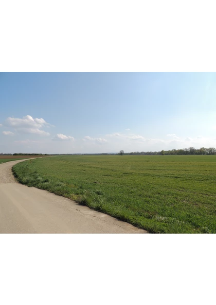 2021 Ruelisheim piste cyclable4
