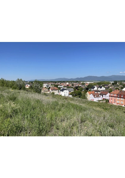 2022 Wittenheim terril Fernand panorama biodiversité vosges foret-noire (24)
