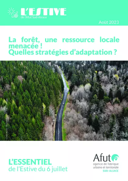 La forêt, une ressource locale menacée ! Quelles stratégies d'adaptation ?