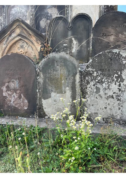 2023 Mulhouse Cimetière Juif