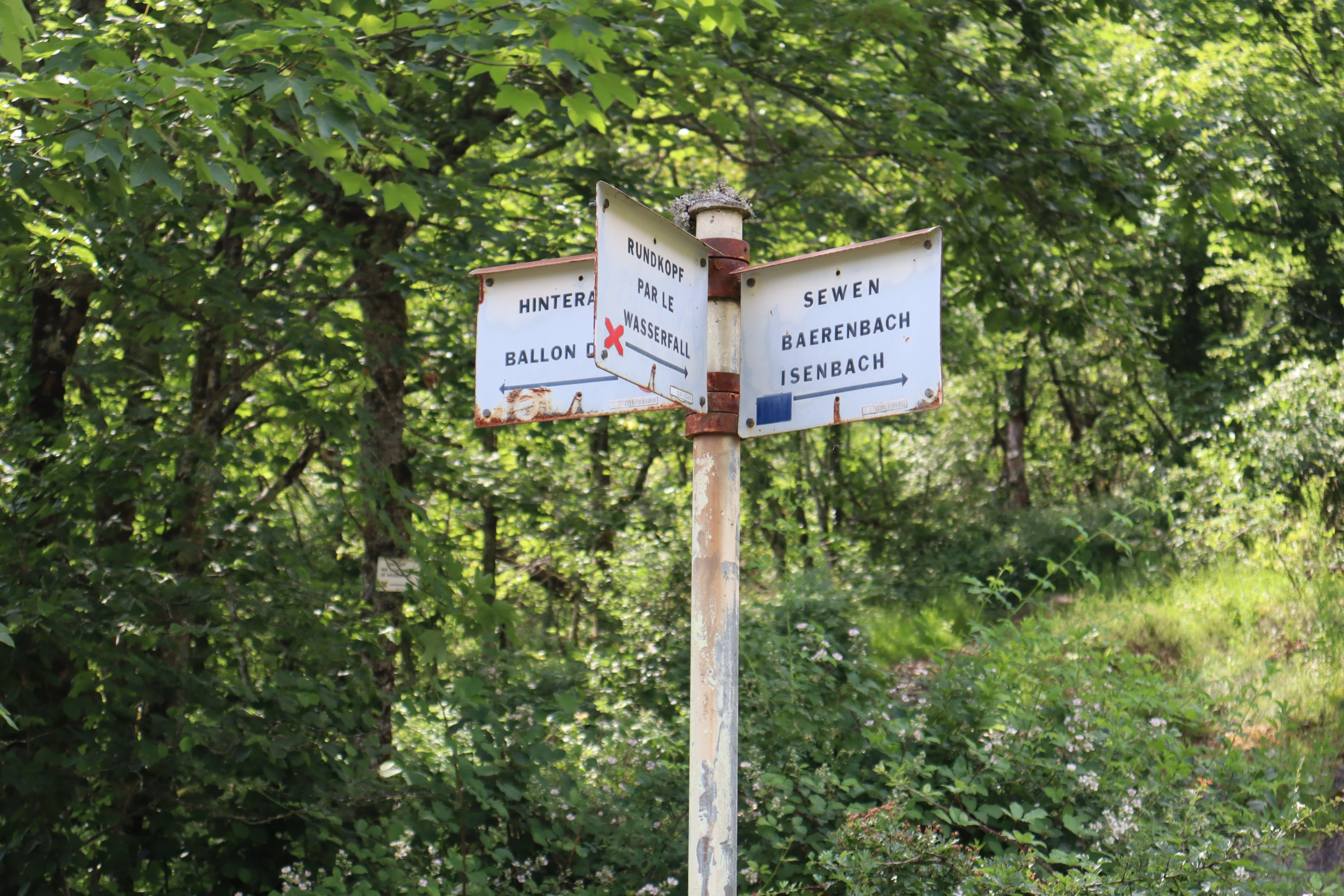 Depart de randonné - lac d'Alfeld (2)