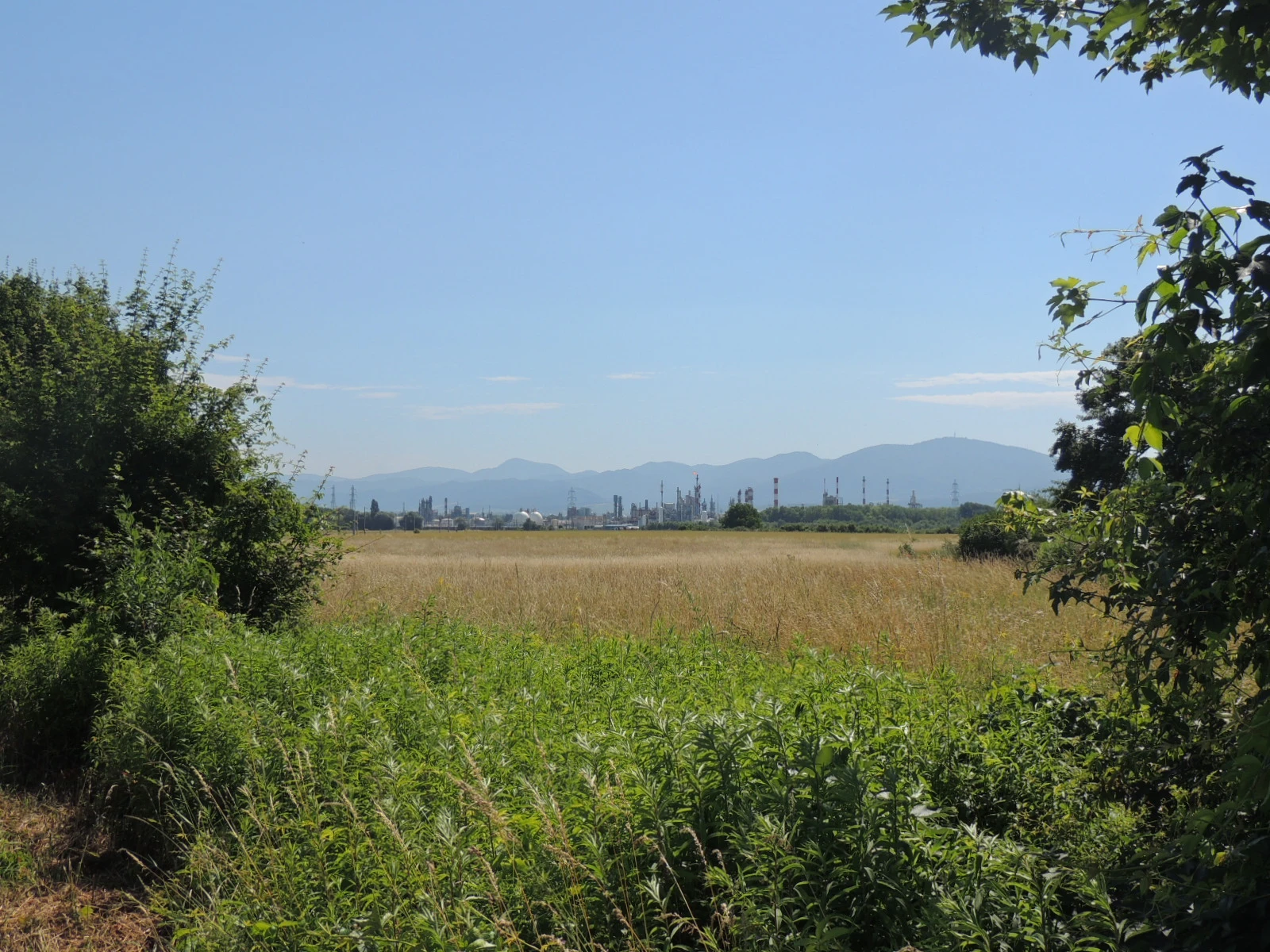 2016_Bande rhenane plaine industrie foret noire_CB